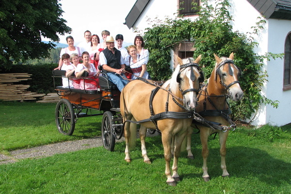 Pferdekutsche vor dem Gasthaus Sonne-Neuhusle 