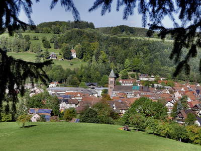 Blick auf Elzach  Horst Dauenhauer